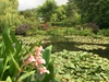 jardin de monet à giverny